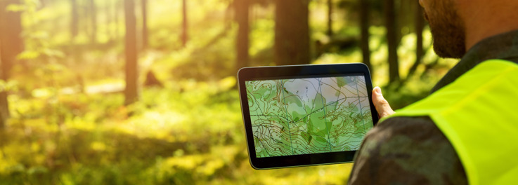 en man i en skog som tittar på en tablet.