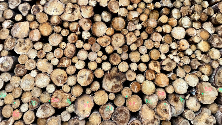 A large pile of logs stacked on top of each other.