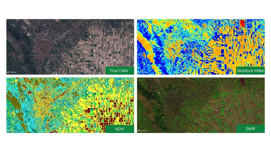 infärgade kartbilder.