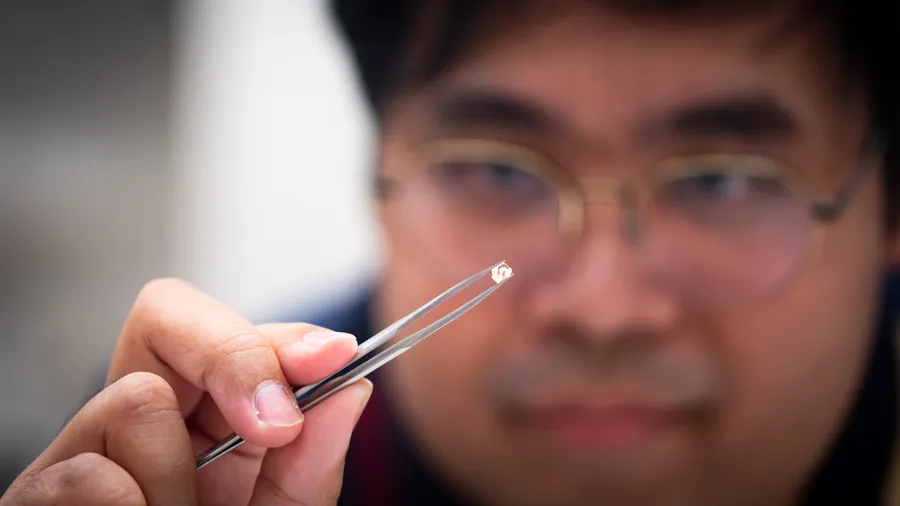 En närbild av en person som håller i en pincett.