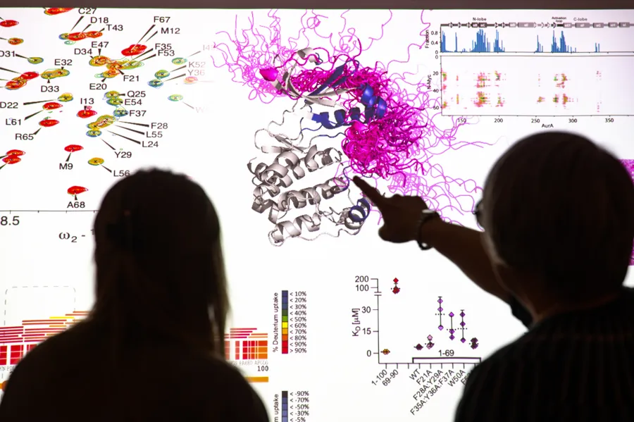 Teo women are looking at a computer screen.