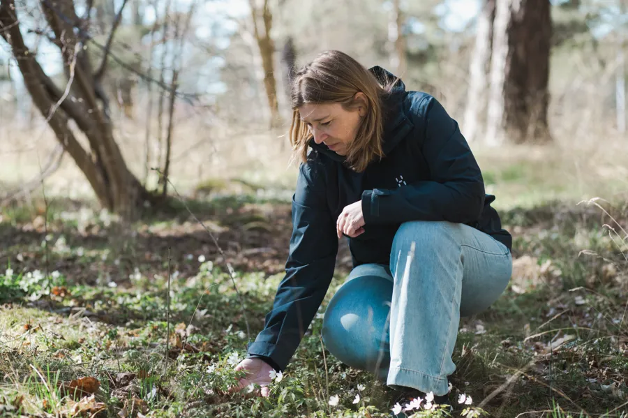 A woman crouches down to pick a flower in the woods.