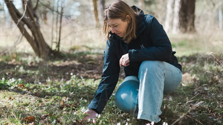 En kvinna böjer sig ner i skogen om våren.