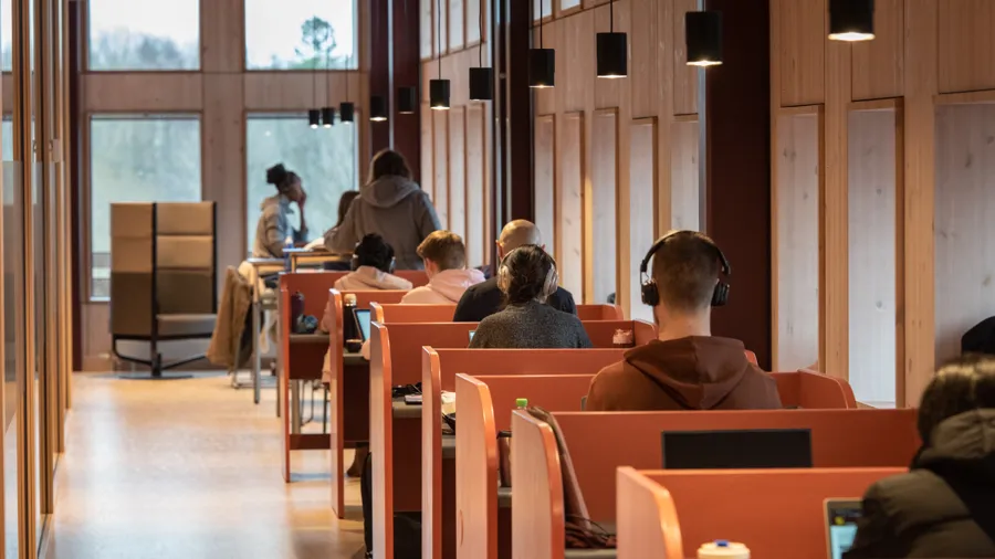 Studenter som sitter i biblioteket och studerar.