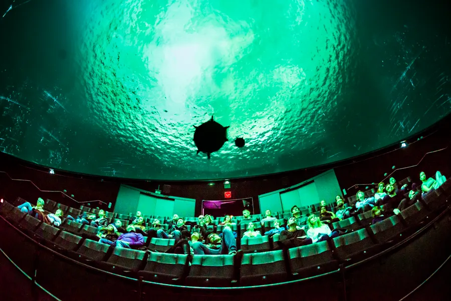 Domen vid Visualiseringscenter C med publik.