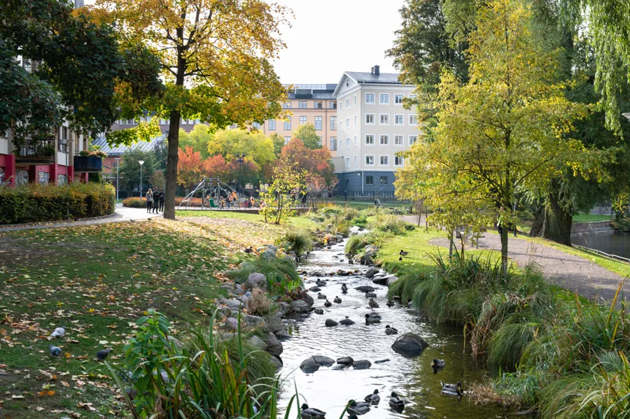 A river running through a lush green park.